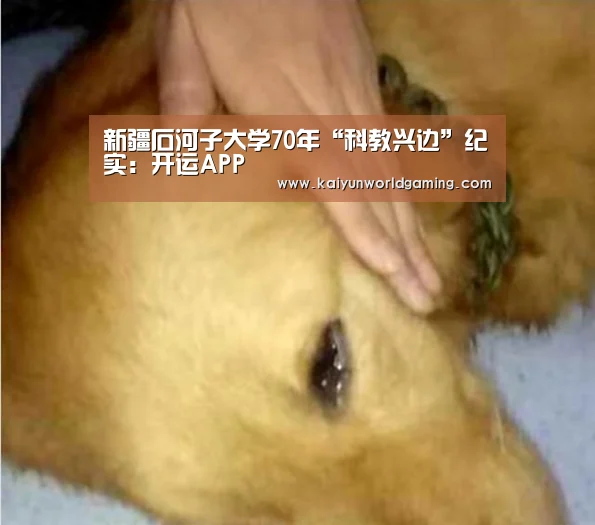 开运体育