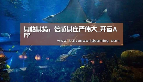 开运赛事
